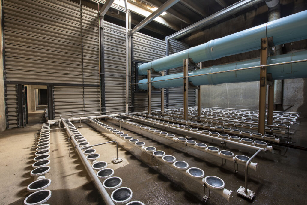 Budd Inlet Treatment Plant UV Disinfection Upgrade